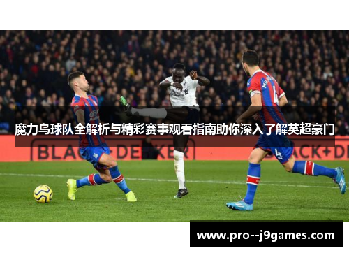 魔力鸟球队全解析与精彩赛事观看指南助你深入了解英超豪门